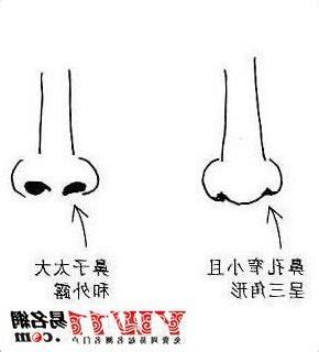 鼻孔一大一小面相