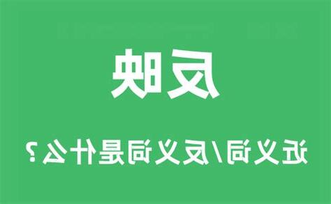反映的意思