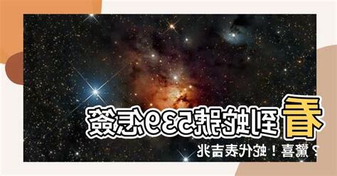 看到蛇是幾號