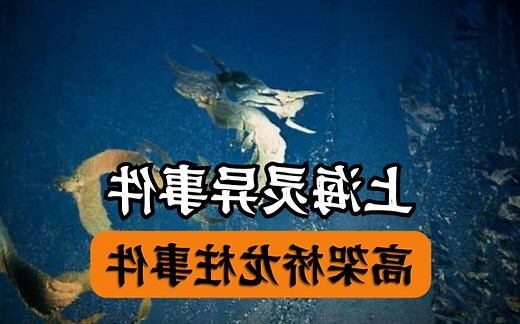 上海立交桥龙柱事件