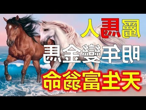 屬馬的五行