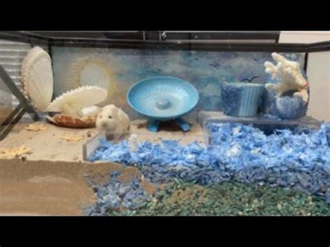 魚缸養倉鼠