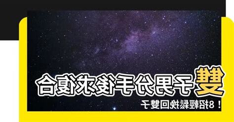 雙子男復合