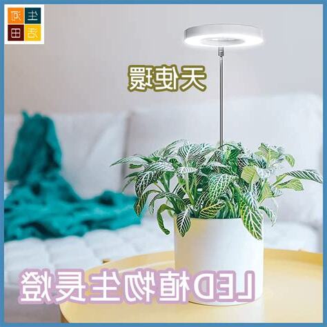 室內太陽燈