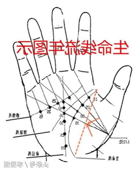 生命線帶眼