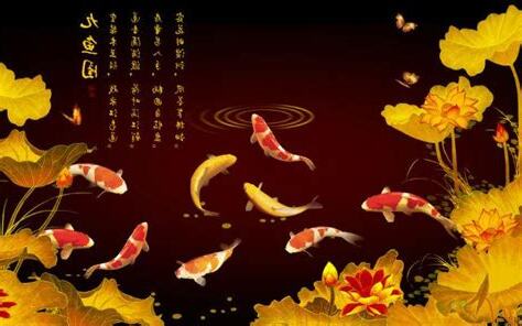 9魚圖