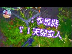 頂樓種花