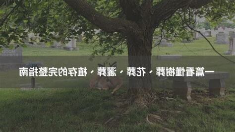 環保葬缺點