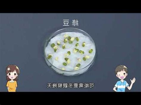 路燈對植物的影響