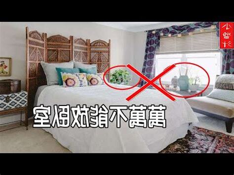 房間放花