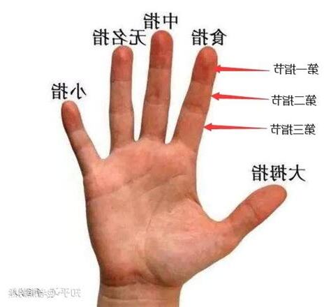 食指有志