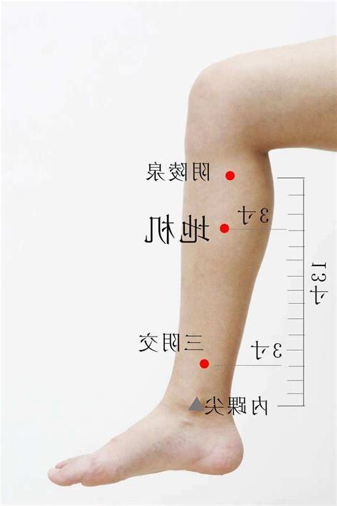 穴地