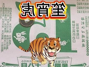 1986属虎五行