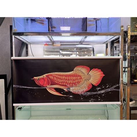 特殊魚缸