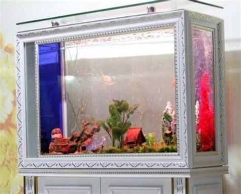 水族箱放置位置