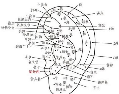 耳朵痣位置