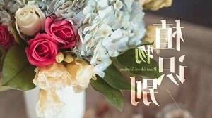 植物查詢