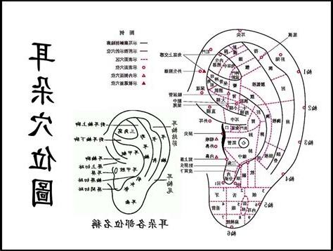 耳洞名稱