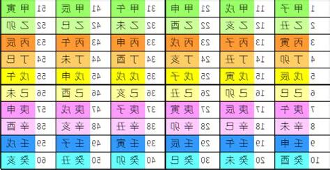 戊子年五行
