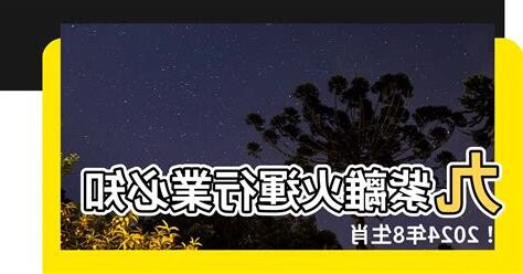 九紫離火運行業