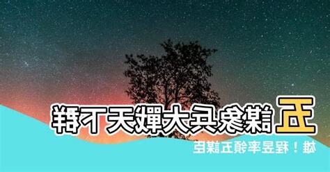 五謀象