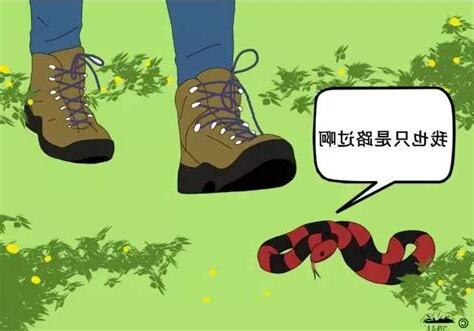 遇見蛇