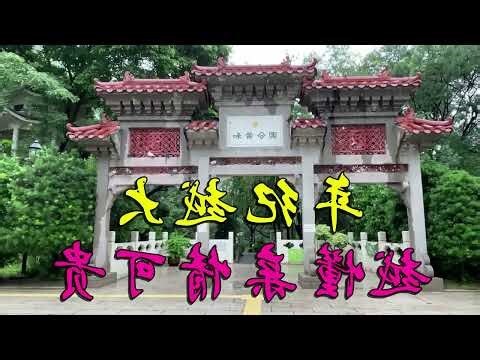 親情可貴