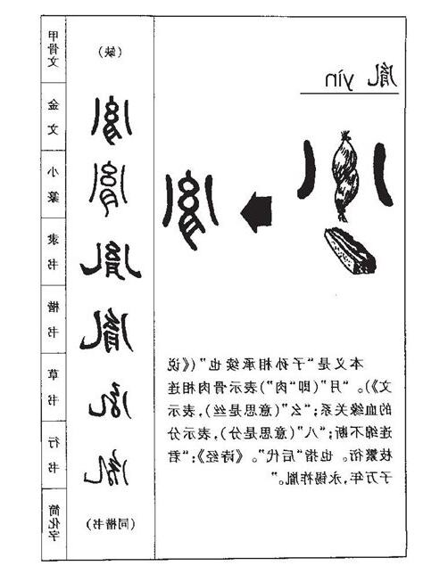 胤取名