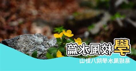 學校風水