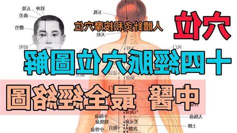 中醫裡面,土是屬於哪一個人的臟腑