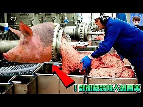 夢見吃豬肉
