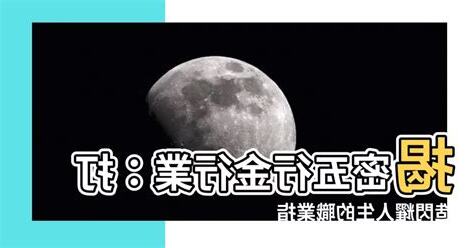 金的行業