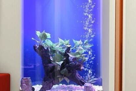 臥室魚缸擺放位置