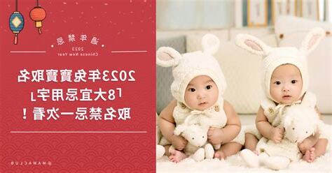 2023兔年寶寶