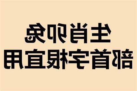 生肖兔宜用字