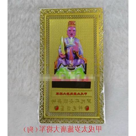 施廣大將軍