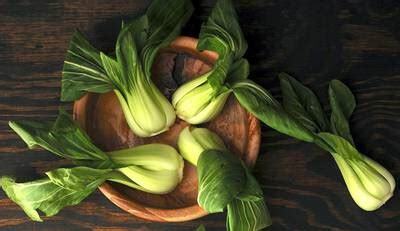 小棠菜禁忌