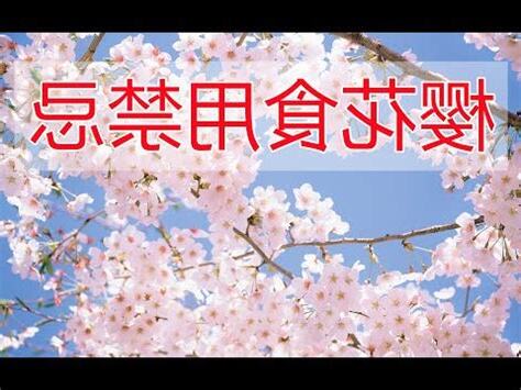 櫻花禁忌