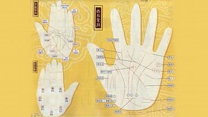 男手相分析