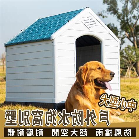 狗窩