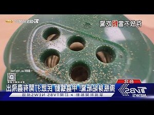 夢見水果有蟲