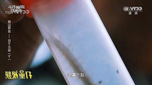 蜈蚣象徵意義