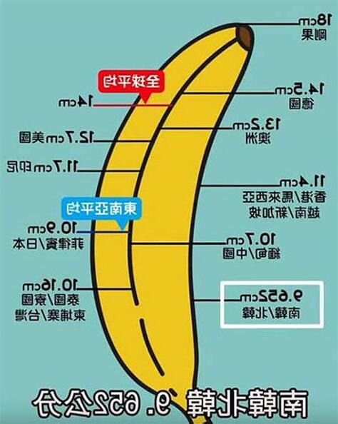 男生陰莖長度