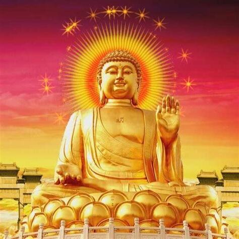 屬豬的暗貴人