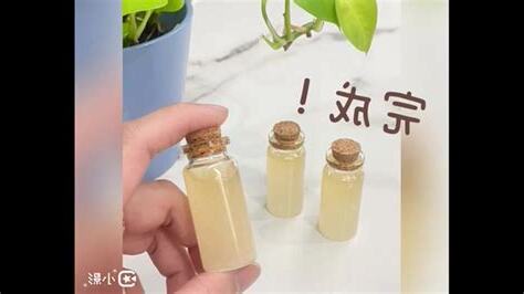 避穢丹