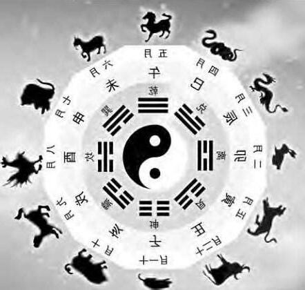 十二生肖天干地支