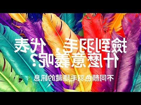 白色代表什麼