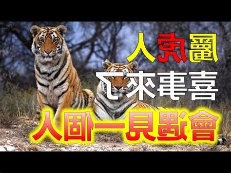 1974屬虎
