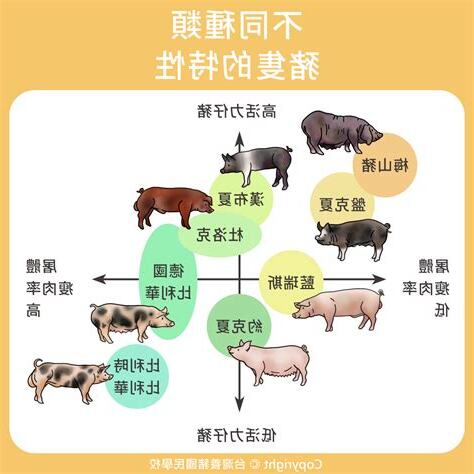 豬特性