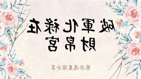 財帛宮破軍